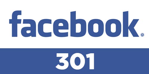 Facebook 301
